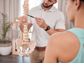 Image showing Chiropractor, spine and anatomy with a medical skeleton for advice and diagnosis of injury during physiotherapy with therapist and patient. Man talking to woman for chiropractic and physical therapy