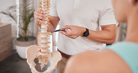 Image showing Spine model, healthcare and chiropractor with woman for consultation or treatment advice. Physiotherapy, wellness and doctor with patient and skeleton explaining cause of back pain, injury or problem