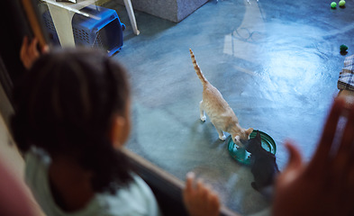 Image showing Child, girl or feeding cats in pet adoption center, animal shelter or volunteer community charity for felines. Homeless kittens, pets or eating food with kid, youth or people in foster support search