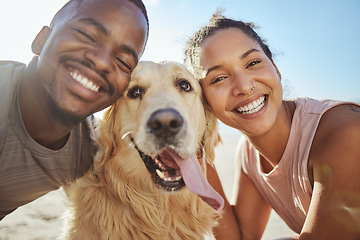 Image showing Face, dog and love with a black couple on the beach during summer walking their pet for fun or recreation together. Portrait, happy and smile with a man, woman and pet golden retriever outdoor