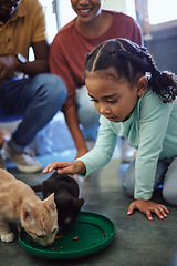 Image showing Child, cats and care while eating food for nutrition for health and wellness, family at animal shelter for charity and volunteer work for rescue animals. Girl showing love and support petting cat