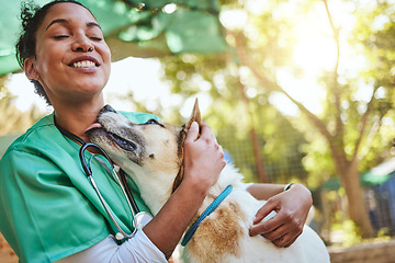 Image showing Vet, happy and nurse with a dog in nature doing medical healthcare checkup and charity work for homeless animals. Smile, doctor or veterinarian loves nursing, working or helping dogs, puppy and pets