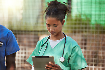 Image showing Healthcare, medical nurse and tablet for patients chart, digital health report and information. Hospital doctor, professional black woman vet and animal nursing clinic worker use treatment note