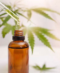 Image showing Cbd oil, hemp and cannabis leaf and dropper bottle for stress, healthcare and holistic use. Marijuana, 420 and weed plant leaf with liquid product for depression, anxiety and sleep production