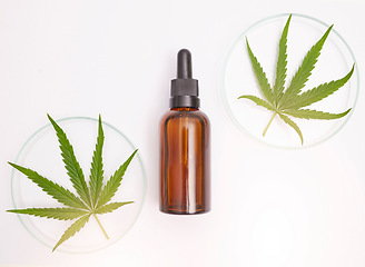 Image showing Medicine, natural and oil with leaf of cannabis on white background for health, wellness and treatment. Medicinal marijuana, organic healthcare and cbd oil serum or extract for traditional healing