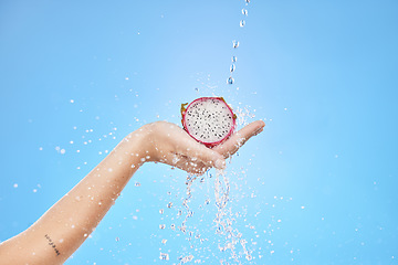 Image showing Dragon fruit, water splash and tropical food in studio for wellness, vegan diet and nutrition on blue background. Woman hands holding pitaya under clean running water for health, detox and vitamins