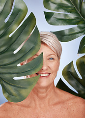 Image showing Mature woman, skincare or body care leaf in studio healthcare, organic dermatology treatment or vegan face makeup cosmetology. Smile portrait, happy middle aged beauty model or green monstera plant