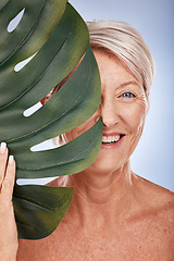 Image showing Monstera leaf, portrait of senior woman with natural skincare and marketing luxury retirement spa in Sydney. Elderly lady with green plant, half face on studio background and healthy dermatology