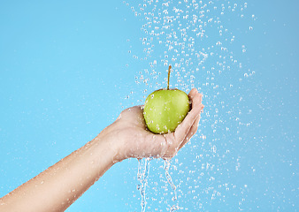 Image showing Green apple, hands and water splash for healthy lifestyle, vegan diet and nutrition on studio blue background. Palm holding fruits under clean running water for wellness, detox snack and vitamins