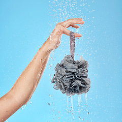 Image showing Hand, shower and water with a body sponge for skincare, cleaning and hygiene against a blue studio background. Woman, model and hands holding a skin wash product for advertising with water splash