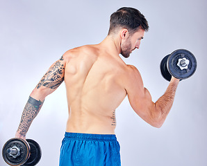 Image showing Weightlifting, muscle and man training for health, fitness and body against a grey studio background. Gym, wellness and athlete bodybuilder with weights for power during workout and exercise