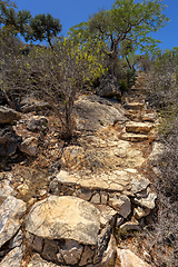 Image showing Tourist trail in Tsimanampetsotsa national park. Madagascar wilderness landscape.