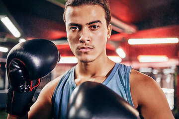 Image showing Fitness, boxing gloves and portrait of an athlete training for a fighting match or competition. Sports, motivation and man boxer in a gym to workout, exercise or practice for a martial arts fight.