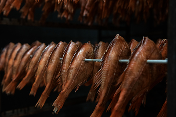 Image showing Smoked fish production concept