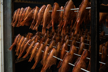 Image showing Smoked fish production concept