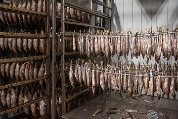 Image showing Smoked fish production concept