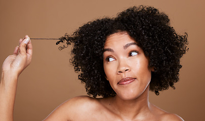 Image showing Black woman afro, messy hair and curls looking for cosmetics or salon treatment against a brown studio background. African American female in hair care holding entangled strand on mockup