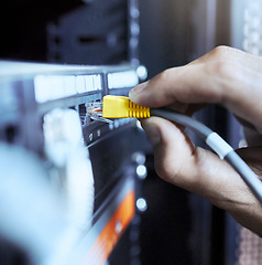 Image showing Server, information technology and closeup of computer cable for database transmission by engineer hand. Programming, coding and IT technician person work with equipment and connecting internet wires