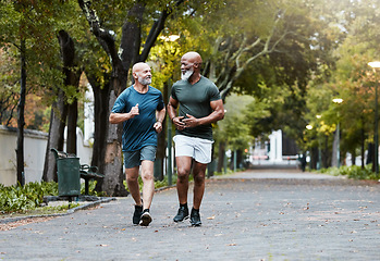 Image showing Mature, men and fitness with friends running in park for exercise, workout and wellness. Exercising, working out and diverse male athletic friend in cardio training for body health and stamina