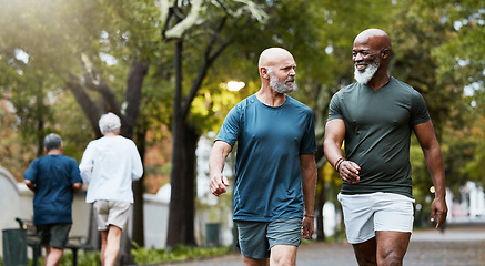 Image showing Fitness, exercise and men walking together at community park while talking and doing cardio training outdoor in nature. Diversity, friends and senior man and accountability partner on a wellness walk