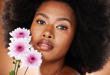 Image showing Flower, skincare and black woman natural hair in a studio portrait for beauty, cosmetics and eco friendly product promotion. Young african model face with daisy floral skin, hair care and self love