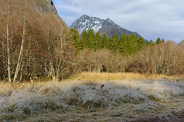 Image showing mountain peak in warm autumn sun with frozen grass in the foregr