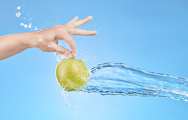 Image showing Hand, water and apple in studio on a blue background for health, diet or wellness. Food, splash and nutrition with a green fruit in the hands of a woman for vitamins, nutrition or hydration