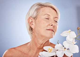 Image showing Flowers, skincare and senior woman with aromatherapy, beauty and peace from plants against a grey studio background. Luxury, cosmetic and calm elderly model with an orchid for wellness and relax