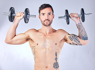 Image showing Portrait, exercise and man with weights for training, fitness and workout with grey studio background. Weightlifting, bodybuilder and healthy male with equipment for wellness, progress and body care.