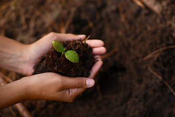 Image showing Plant, growth and soil in hands for earth day, support and sustainability with gardening dirt, fertilizer and nature in agriculture. Agro, green garden and natural environment for farming and spring