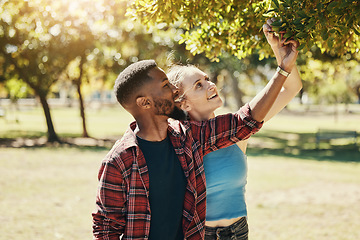 Image showing Nature, tree and couple picking fruit in a field together while on a date in the countryside. Happy, love and interracial man and woman looking at plants in a organic outdoor garden while on vacation