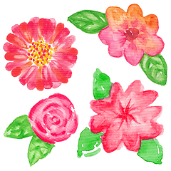 Image showing Hand painted watercolor flowers