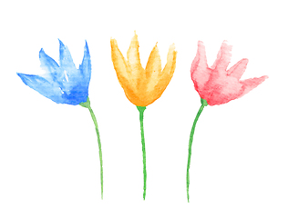 Image showing Hand drawn watercolor flowers