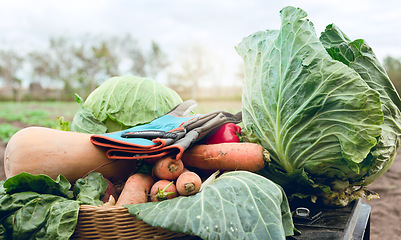 Image showing Vegetable, farming and agriculture during harvest season on an agro farm in the countryside with fresh produce in basket with gardening gloves. Nature, nutrition and ecology in a sustaianble garden