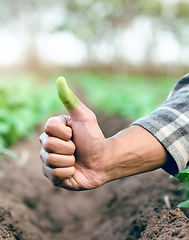 Image showing Hand, green thumb and eco friendly farming in closeup with soil, dirt or earth for sustainable growth. Farmer, farm and thumbs up in sustainability, ecology or agriculture safety for future of planet