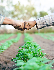Image showing Fist bump, support and employees farming in partnership for growth, agriculture and sustainability on a farm. Meeting, deal and farmer people with goal for sustainable ecology and eco friendly nature