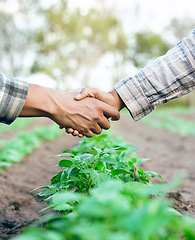 Image showing Farming, agriculture and handshake for b2b business deal, partnership or agreement on agro farm shaking hands for trust, teamwork and growth. Man and woman farmer together for sustainability support