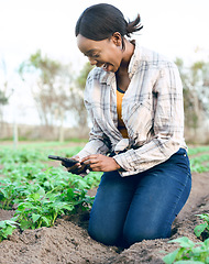 Image showing Farm, phone and photo with a woman farmer taking a picture of her plants for online social media. Agriculture, agro and ecology with a female gardener taking photos on her cellphone of harvest