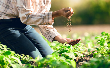 Image showing Agriculture, soil and farmer hands with environment, ecology and green, outdoor plant and farming. Sustainability, harvest and leaves, crop growth and farm with nature, fresh and grow from earth