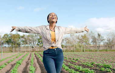 Image showing Farm, freedom and black woman feeling carefree and happy on an agriculture, eco friendly and sustainable field. Free, land and farming with african american female enjoying her agricultural harvest