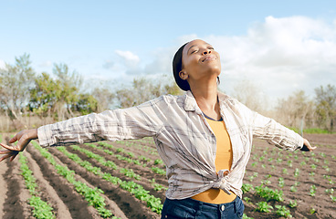 Image showing Farmer, freedom and woman feeling carefree and joy on agriculture field or plantation before harvest. Free, african american female and eco friendly field for ecology, eco and earth for farming