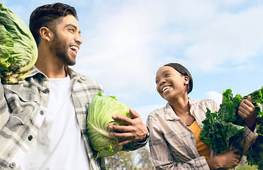 Image showing Couple, vegetables farm and happy farmer, teamwork and agriculture garden harvesting. Healthy food, small business food sustainability and workers farming for nutrition in natural lettuce together