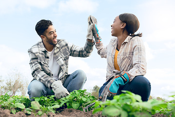 Image showing Farm, high five and man and woman celebrating farming success during harvest in a plantation garden. Multiracial, successful teamwork and celebration of agriculture or eco friendly farming