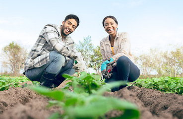 Image showing Agriculture, farm and portrait of happy couple farming, working or planting crops. Agro, sustainability and farmers, interracial couple and man and woman checking on plants health or vegetable growth