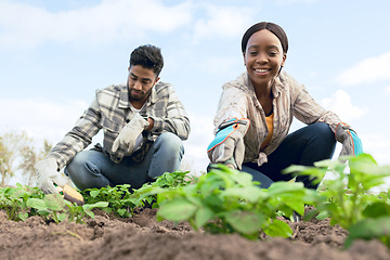 Image showing Farmers, plant vegetables and smile for growth, community garden and green rows. Agriculture, man and woman with saplings, eco friendly and natural life for health, wellness and happy with produce.