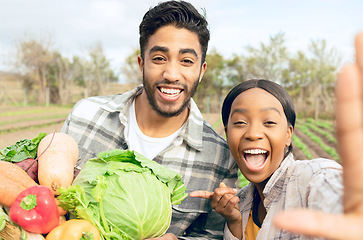 Image showing Vegetables, agriculture and farmer couple on farm, sustainable farming portrait and organic harvest with fresh food and nature. Diversity, happy and sustainability with nutrition healthy diet.