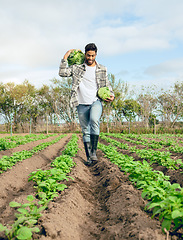 Image showing Farmer, vegetables farm and agriculture sustainability for healthy food. Nature, plant growth and eco friendly worker with smile for carbon capture farming and gardening plants or nutrition wellness