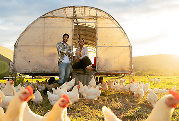 Image showing Agriculture, chicken and sustainability with of black couple on farm for growth, food and environment. Countryside, farmer and eggs with man and woman in field for livestock, poultry and harvest