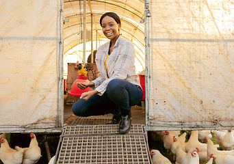 Image showing Farm, agriculture and chickens with a farmer black woman in a chicken coop while farming for sustainability. Countryside, agricultural and poultry with a female working in the chicken or egg industry