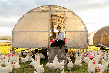 Image showing Chicken farming, woman and organic coop on at farm, field or outdoor for meat, food and free range. Black woman, farmer and poultry agriculture with birds, barn and nature ecology with sustainability